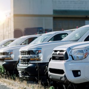 Sản phẩm mẫu 2